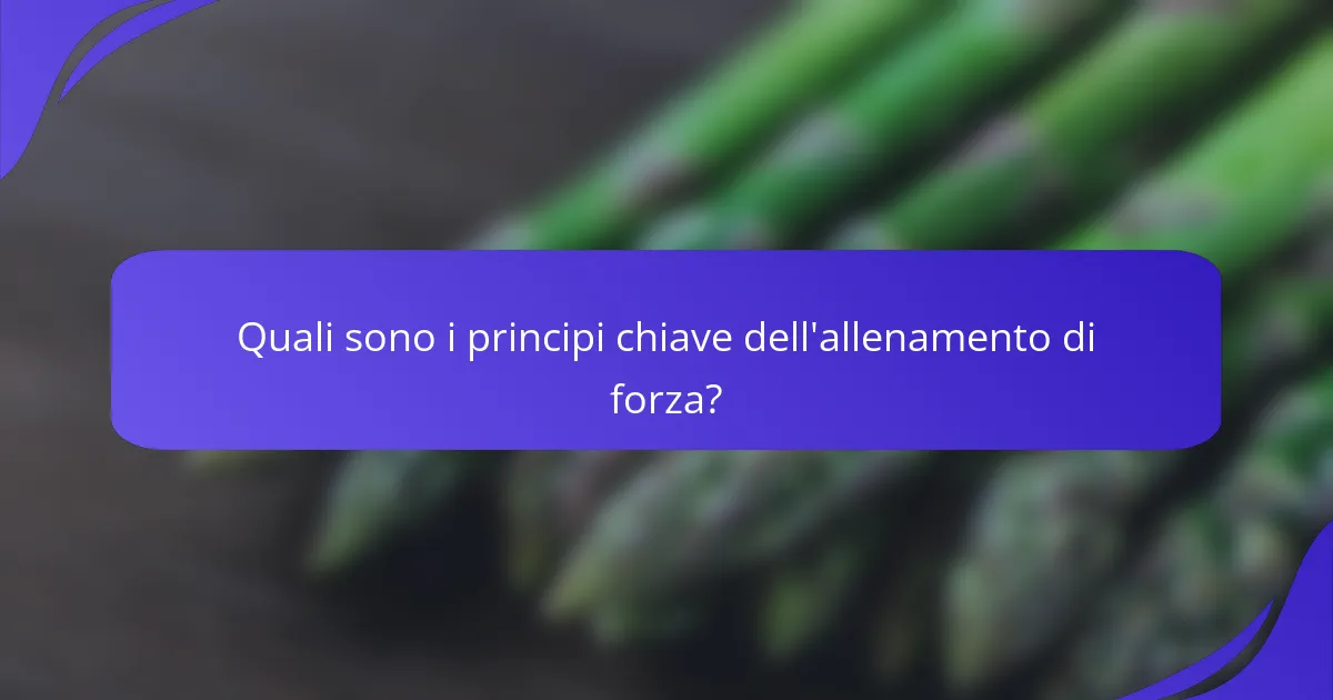 Quali sono i principi chiave dell'allenamento di forza?